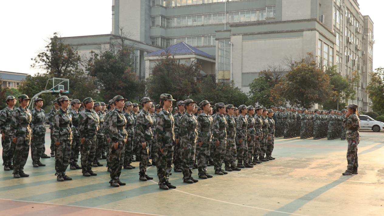 88c95850b2c741e595680d57c8f2a9e8.png 88c95850b2c741e595680d57c8f2a9e8.png